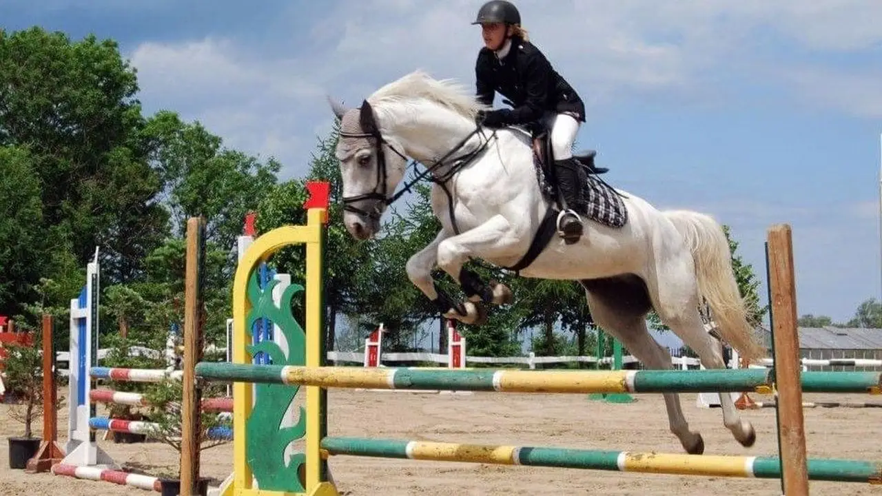 Czaplinek - ob�z jazdy konnej