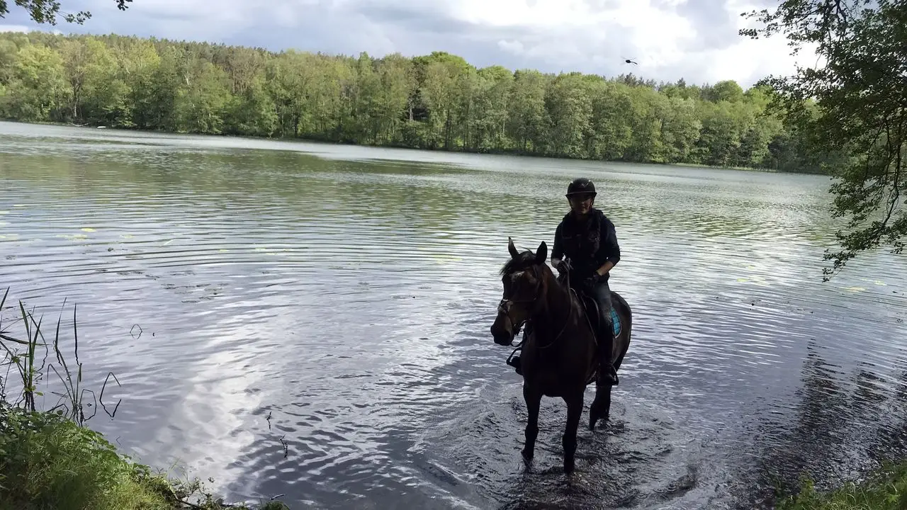 Czaplinek - ob�z jazdy konnej