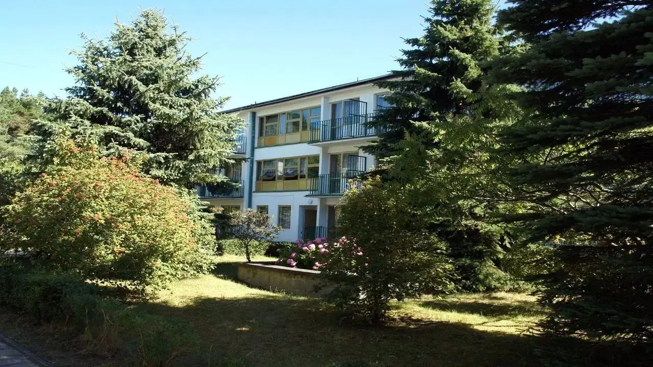 D�bki - ob�z japo�ski