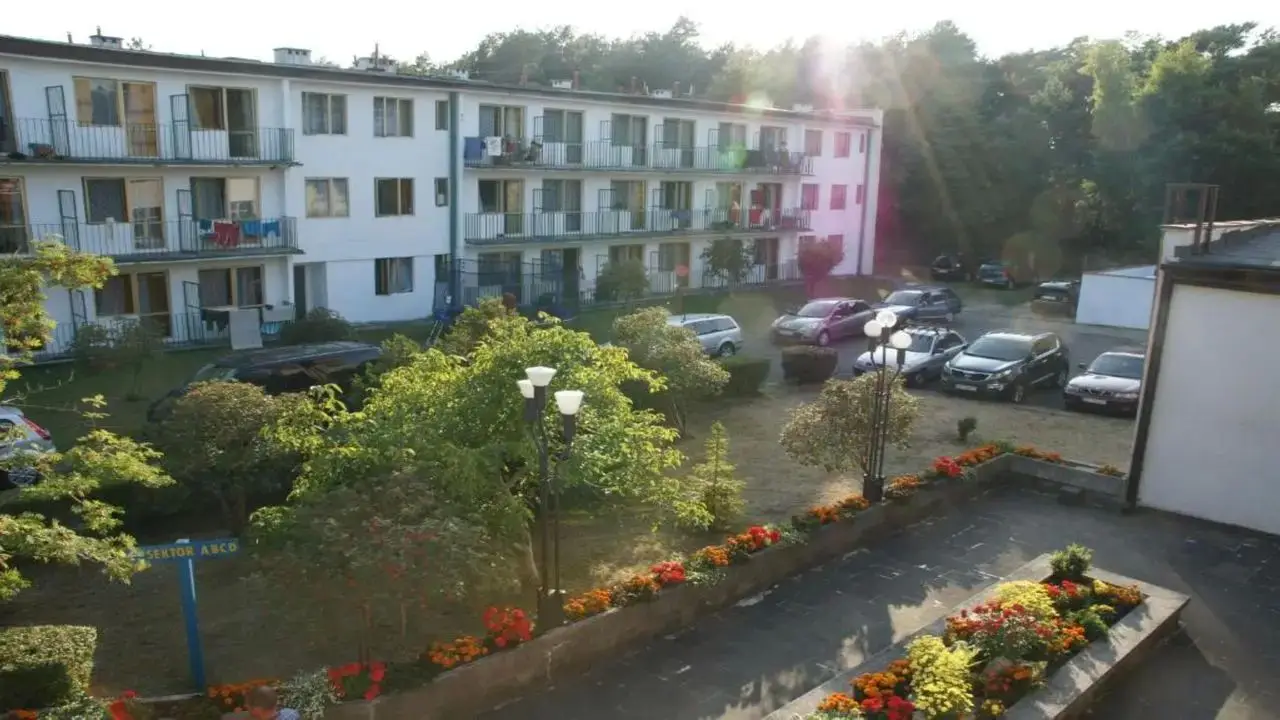 D�bki - ob�z przygodowy Zakr�cone Aqua Wakacje