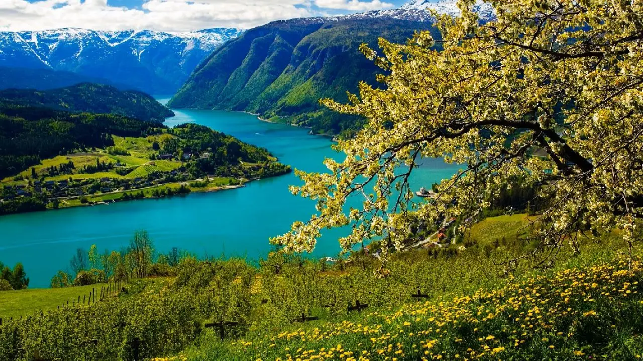 Norwegia - Skarby Norwegii