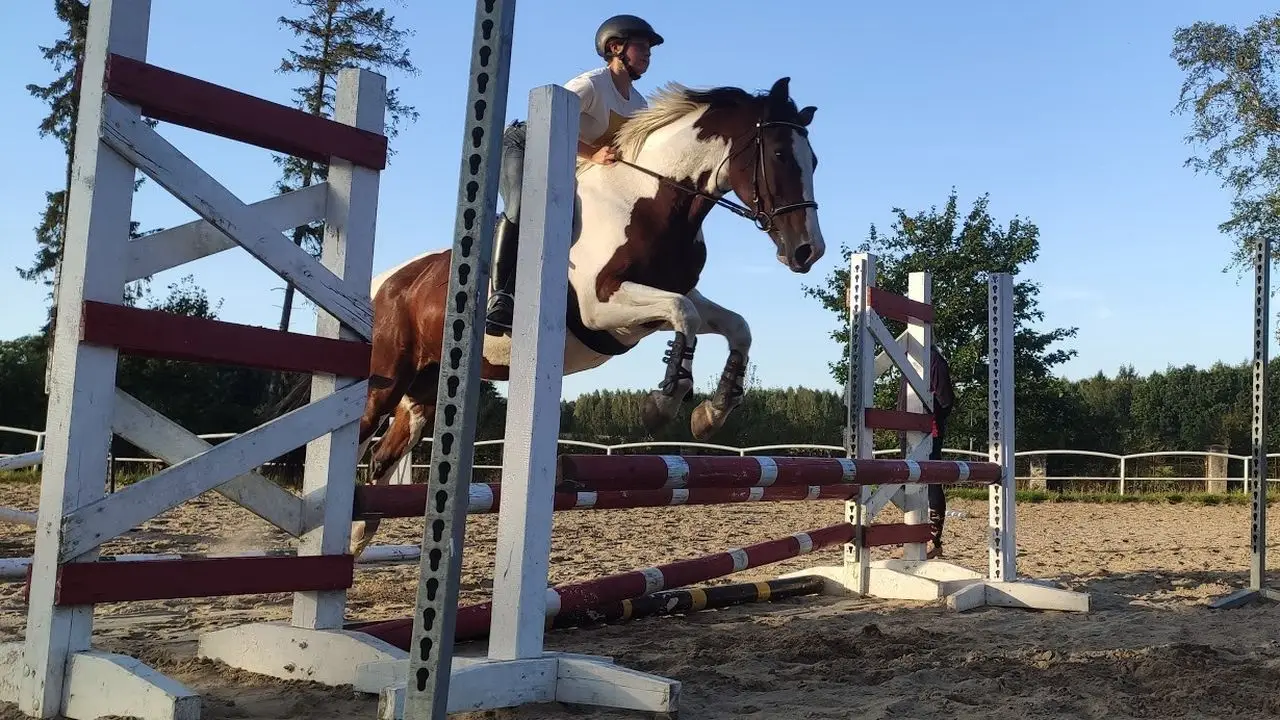 Runowo - ob�z je�dziecki Wakacje w siodle