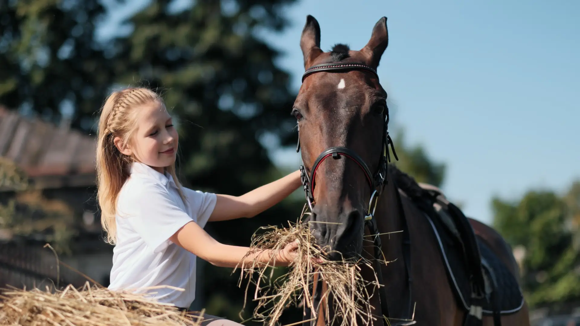 Brenna - 11 przyg�d