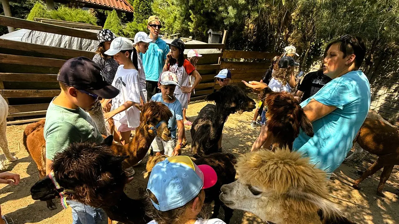 Uniej�w - kolonia survivalowa