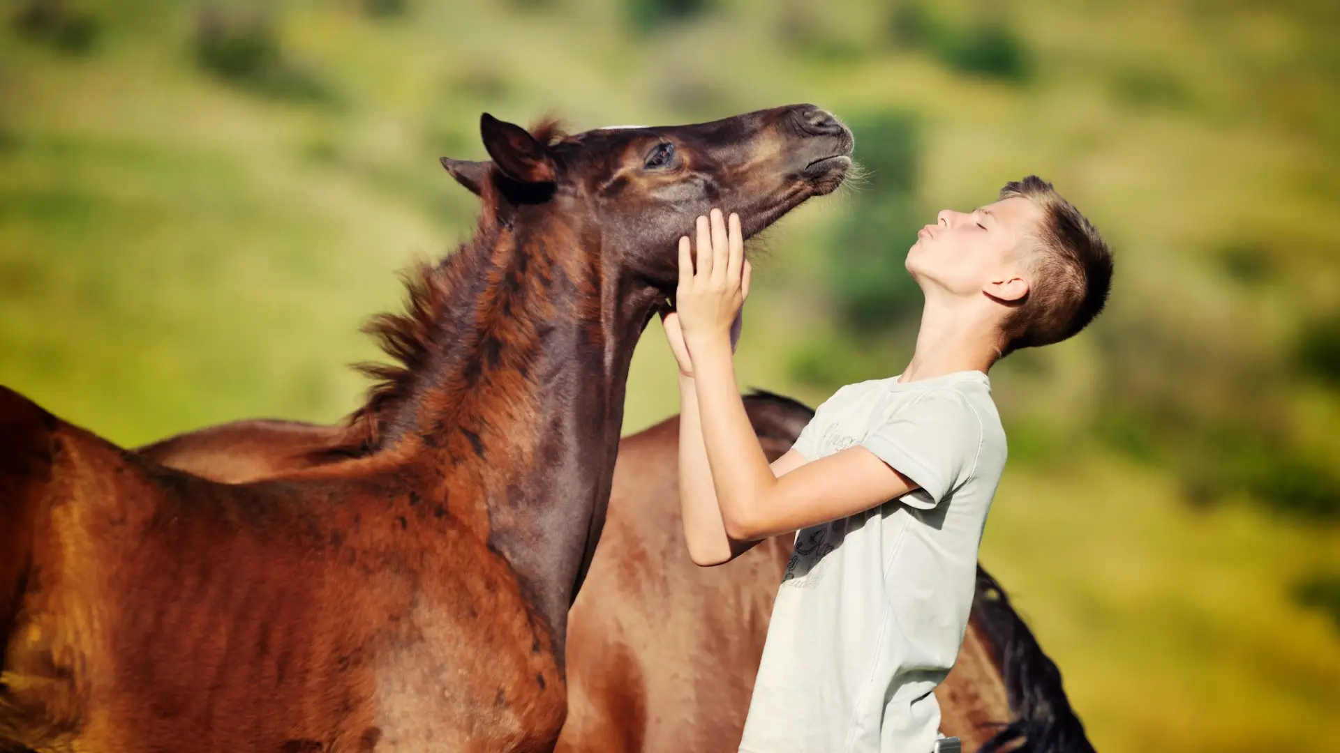 Gorce - je�dzieckie wakacje
