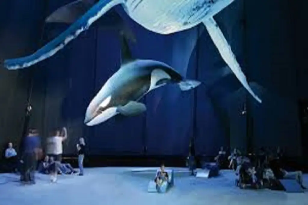 Jaros�awiec - paintball i Archery Tag