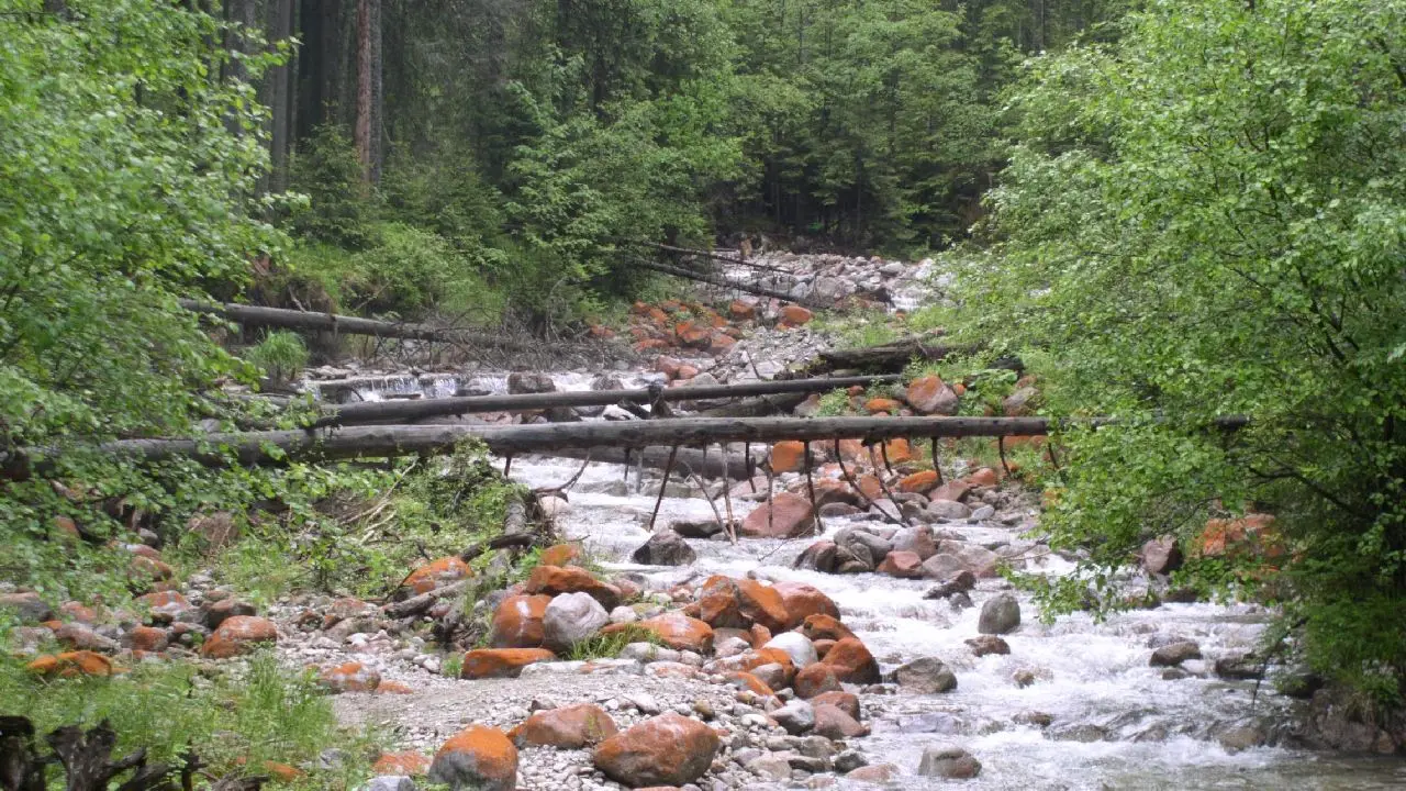 Bukowina Tatrza�ska - ob�z plener malarski