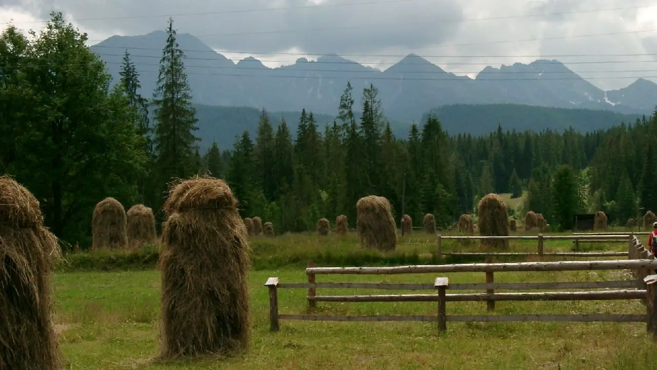 Bukowina Tatrza�ska - ob�z rekreacyjny