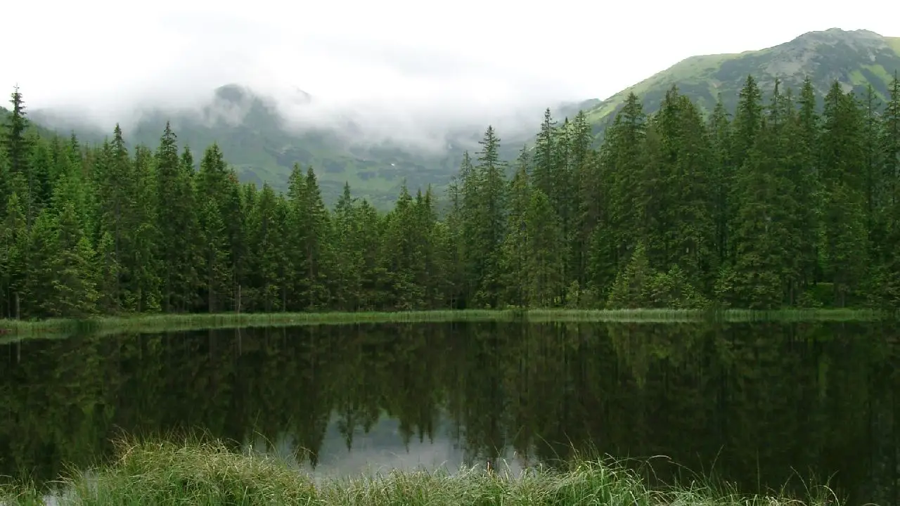 Bukowina Tatrza�ska - ob�z Tatrza�skie Aquaparki