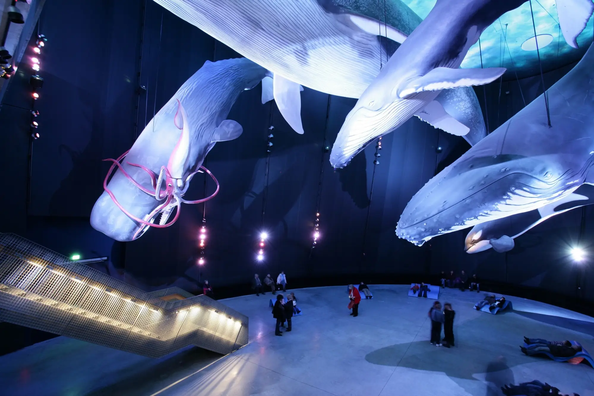 Wicie: Manga Otaku Japonia