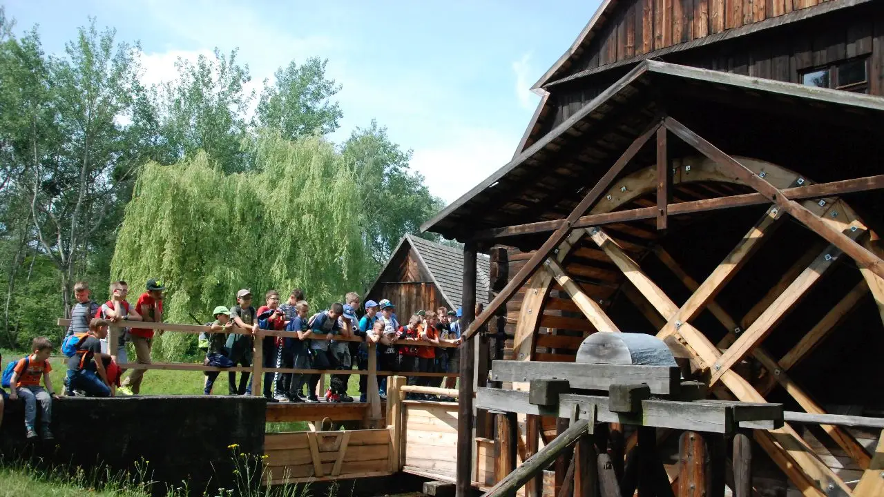 Krasiej�w - Klub Urwisa DinoCamp