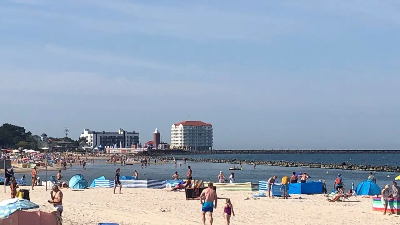 Dar��wko - ob�z j�zyka angielskiego