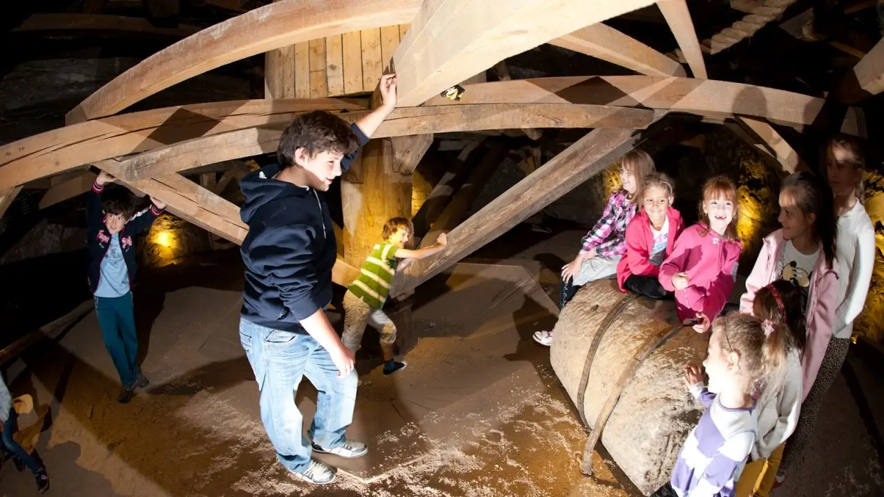 Borek - ob�z przygodowy Dziarskie Wakacje