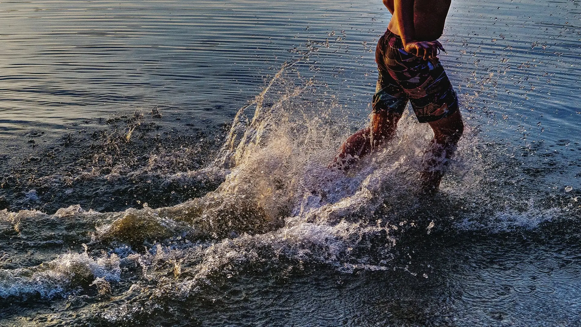 Cisna: Manga Otaku Japonia