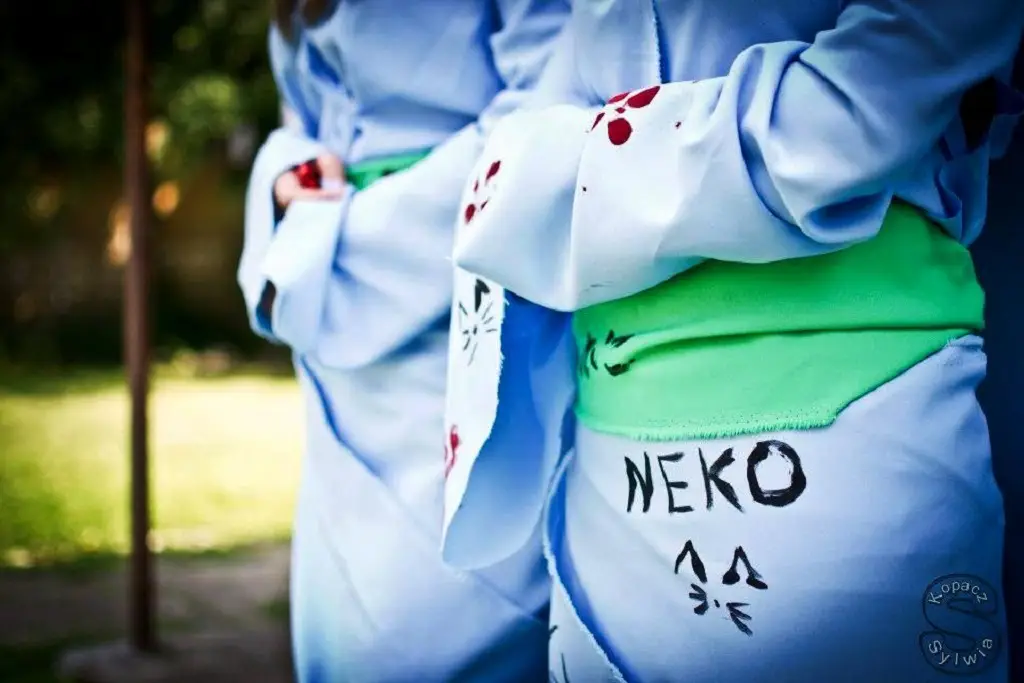 Cisna: Manga Otaku Japonia