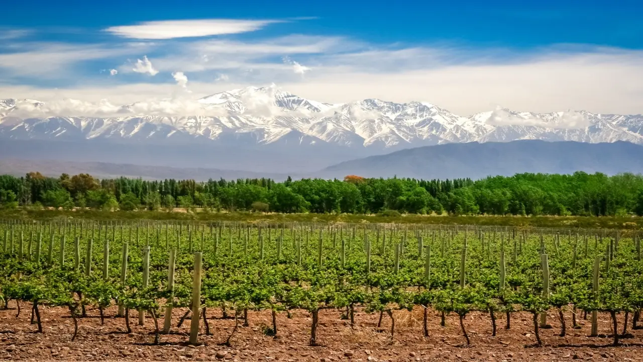 Chile, Argentyna, Urugwaj, Paragwaj, Brazylia - Pi�� kraj�w Ameryki Po�udniowej