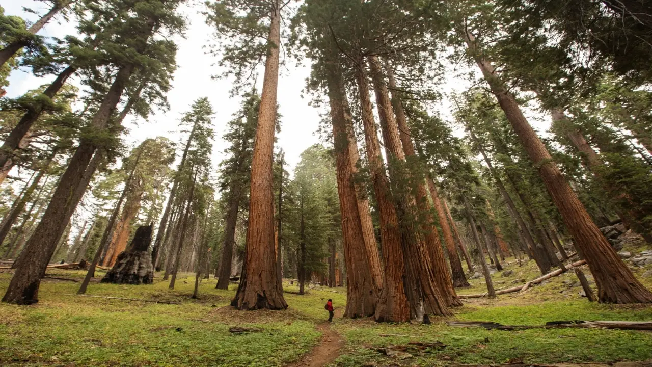 Kanada, USA - Dwie strony Ameryki P�nocnej