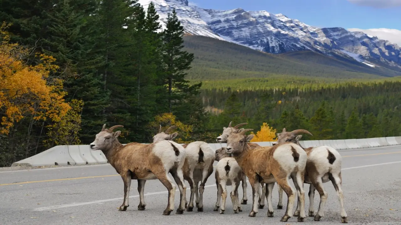 Kanada - Dwie strony Kanady