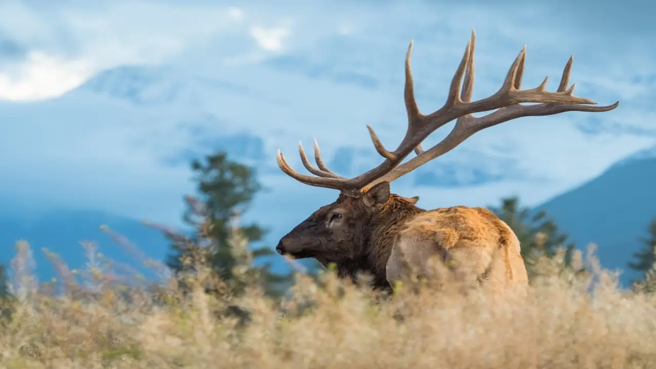 Kanada - Dwie strony Kanady