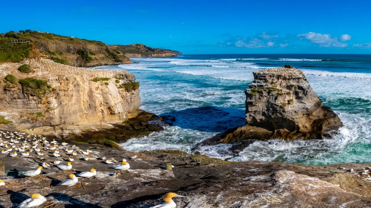 Nowa Zelandia, Australia - Po drugiej stronie Ziemi
