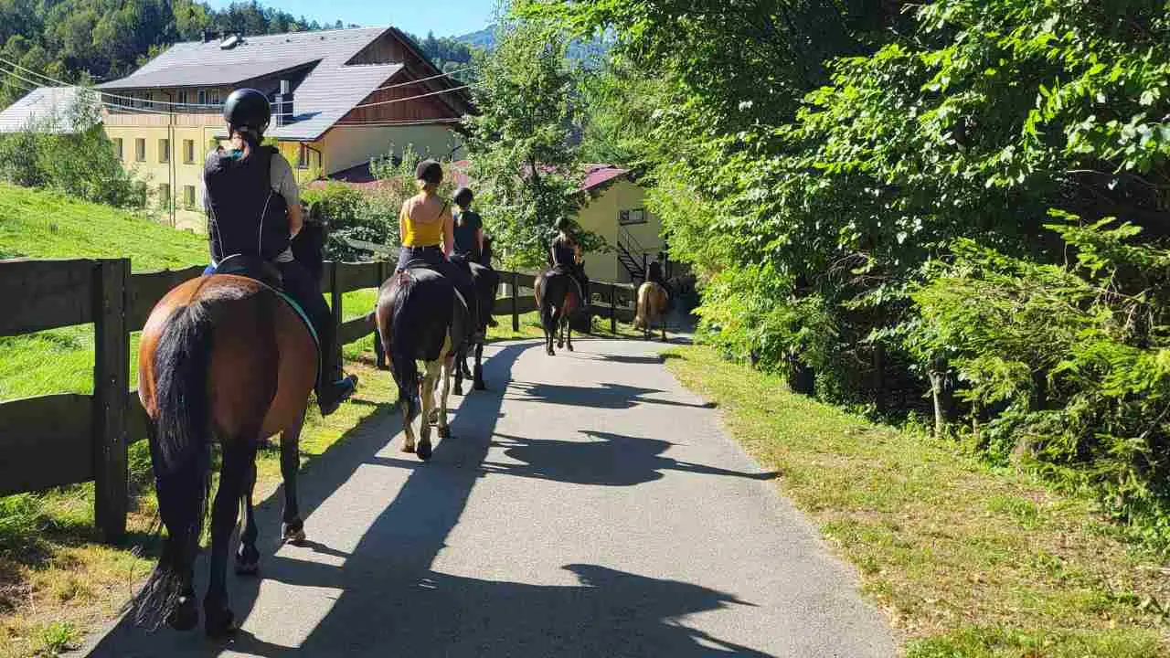 Brenna - Beskidy - rajd konny