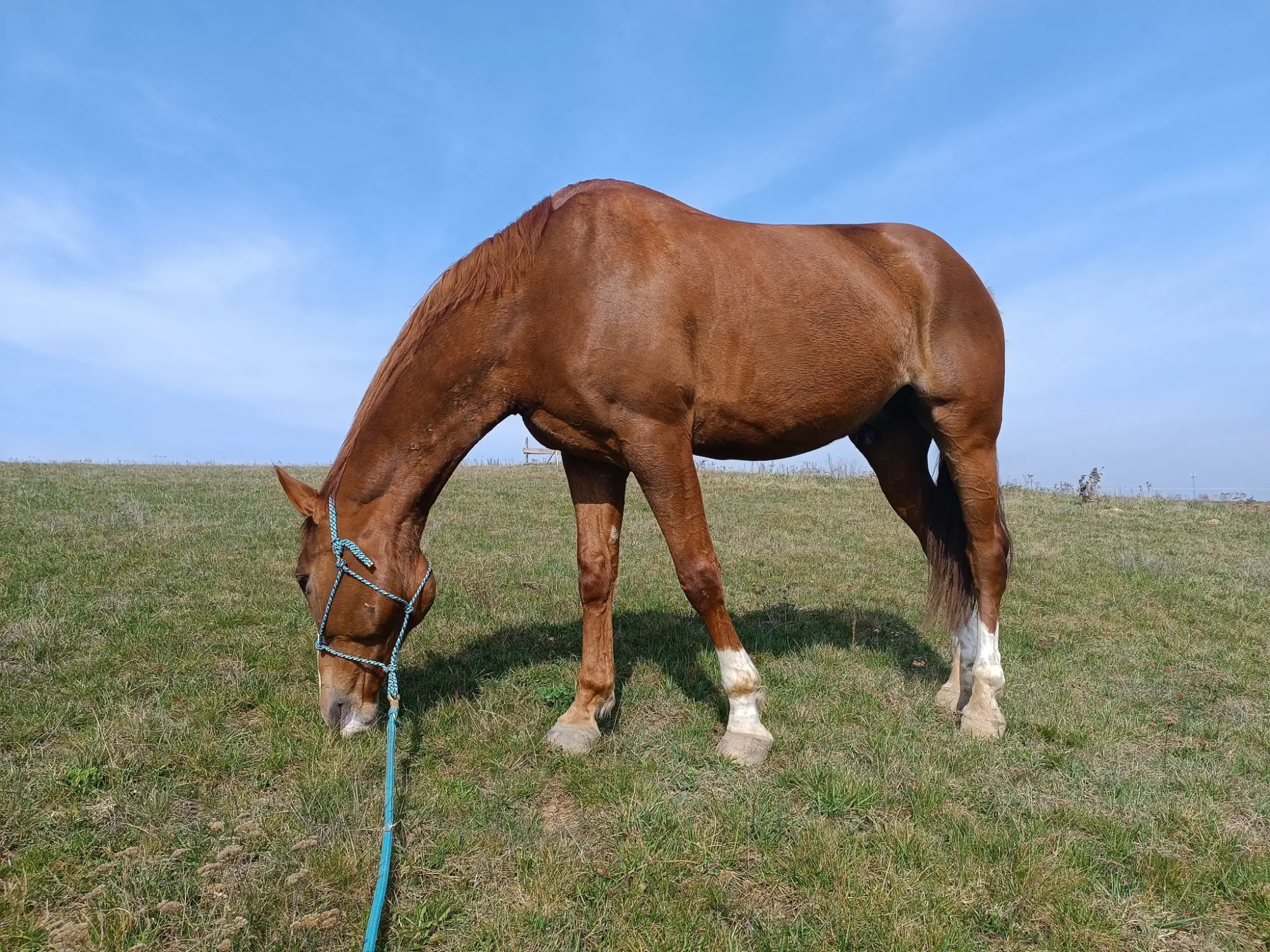 Zbros�awice - kurs pracy z ziemi