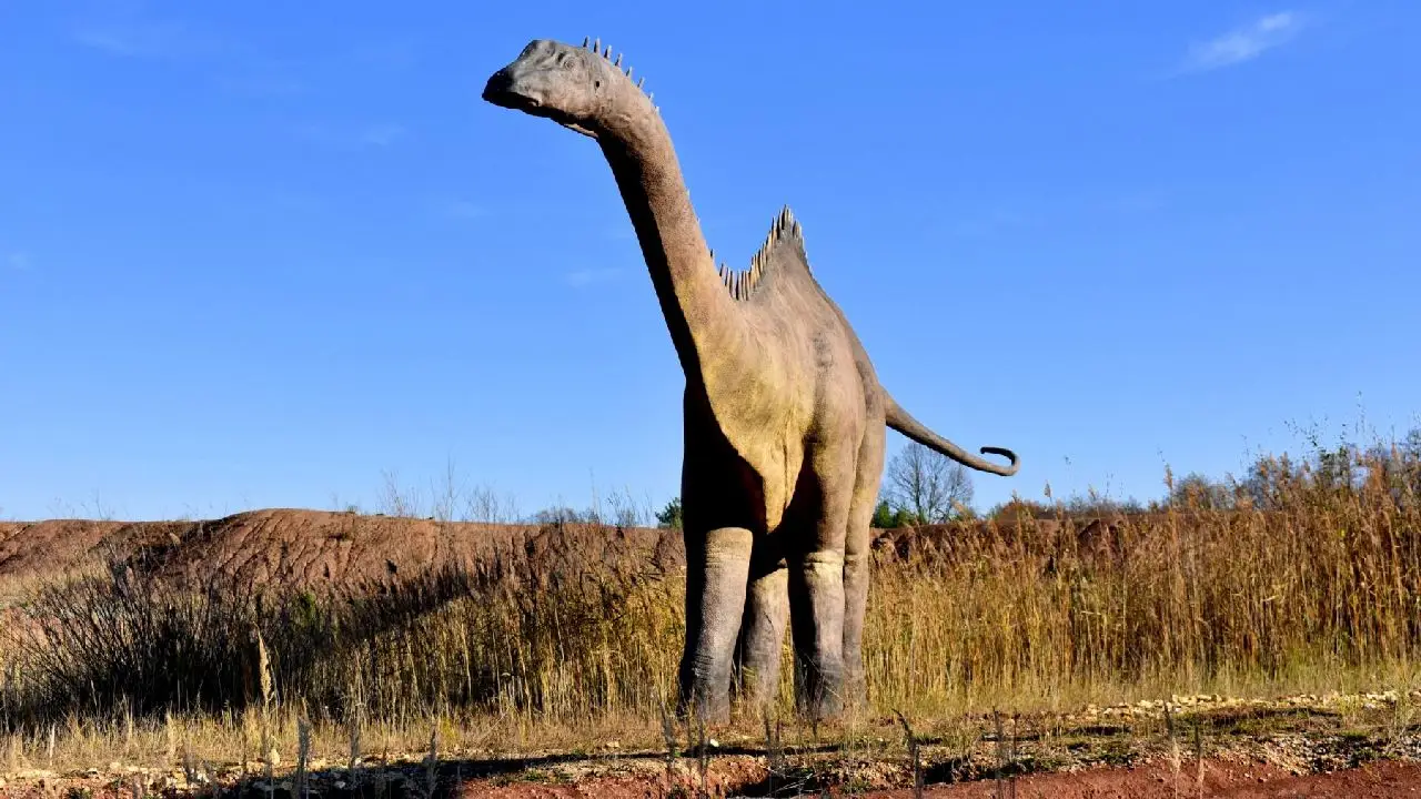 Krasiej�w - ob�z Dino Przygody