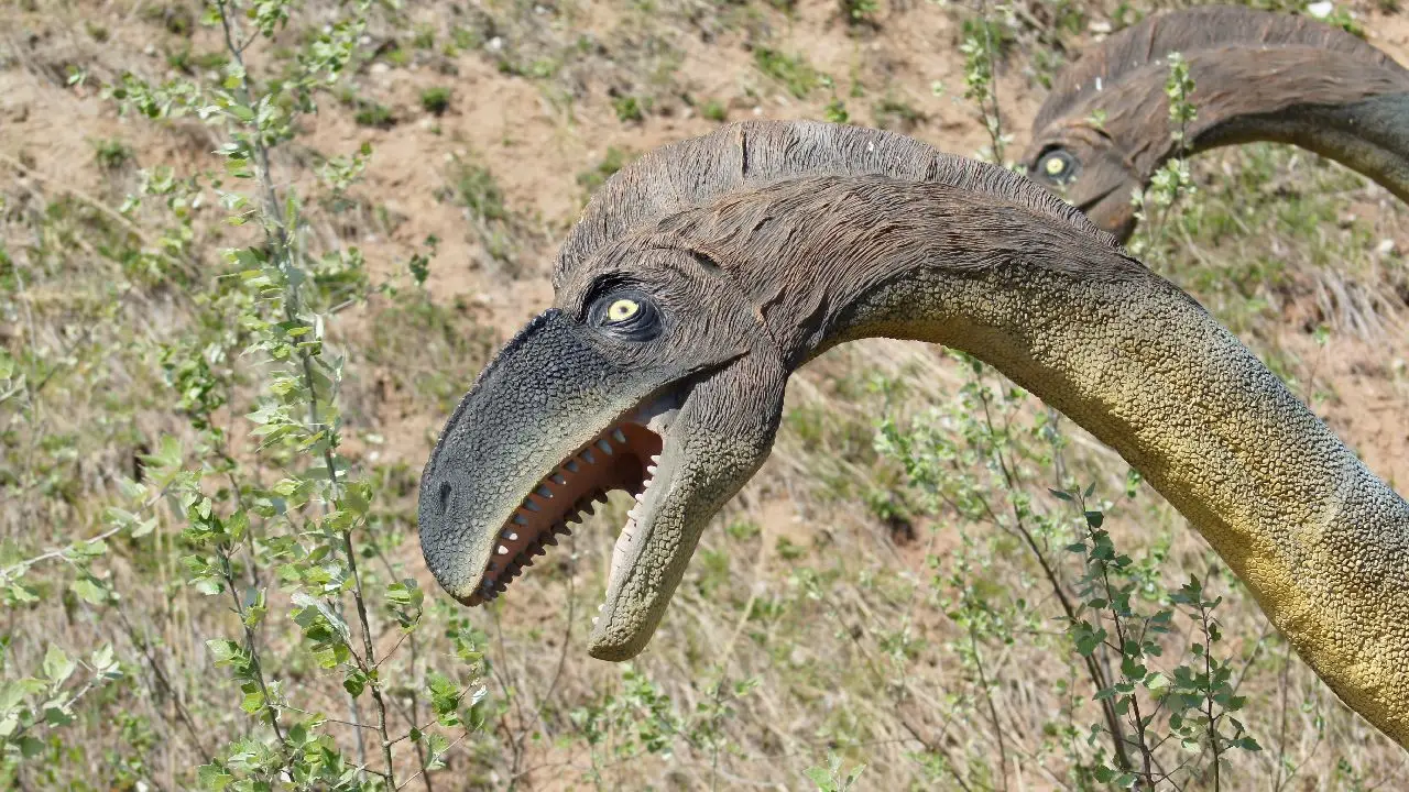 Krasiej�w - ob�z Dino Przygody