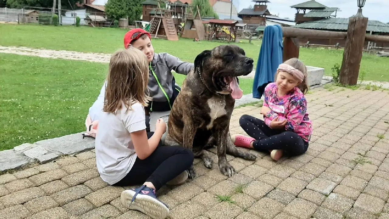 Przysiecz - kolonia ABC jazdy konnej