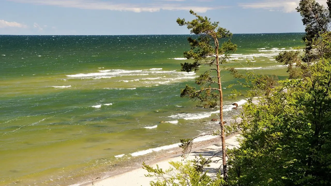 D�wirzyno - ob�z j�zyka hiszpa�skiego