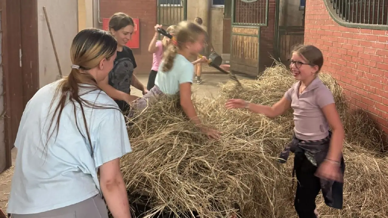 Zakrz�w - kurs jazdy konnej SPORT - Camp Sportowy