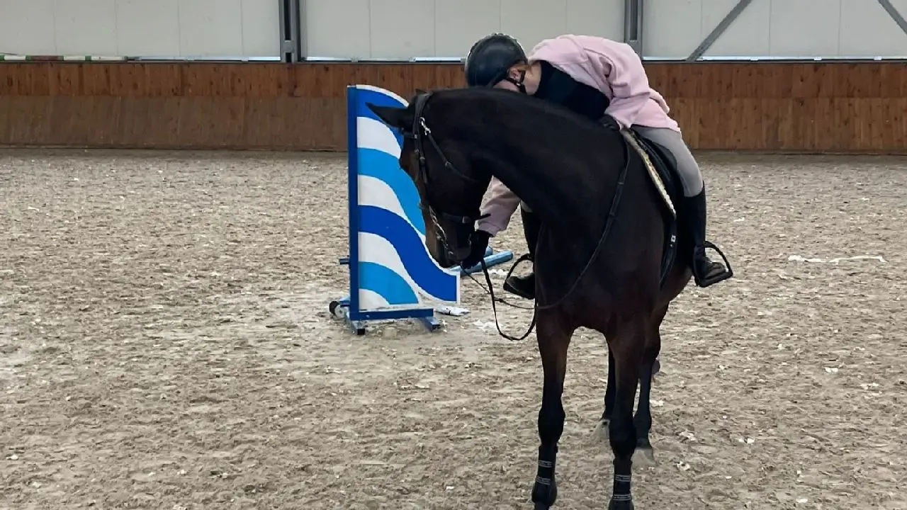 Zakrz�w - kurs jazdy konnej SPORT PRO - Indywidualny rozw�j je�dziecki