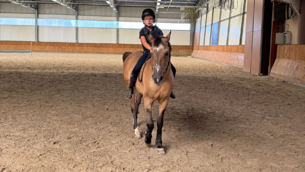 Zakrz�w - kurs jazdy konnej SPORT PRO - Indywidualny rozw�j je�dziecki