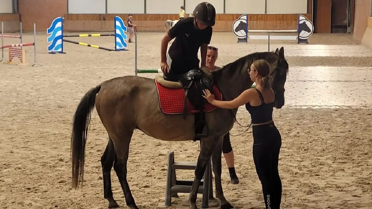 Zakrz�w - kurs jazdy konnej SPORT PRO - Indywidualny rozw�j je�dziecki