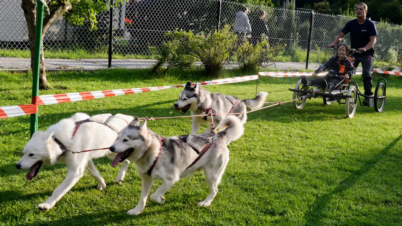 Rabka Zdr�j - mix przygody i zabawy dla najm�odszych