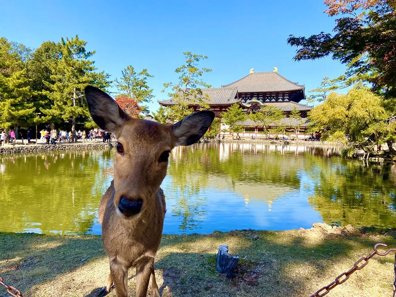 Japonia - Tokio Vibe - wylot z Warszawy