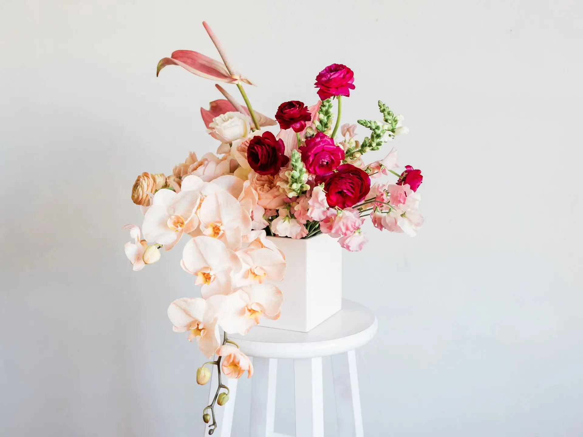 Jaros�awiec: Manga i Anime