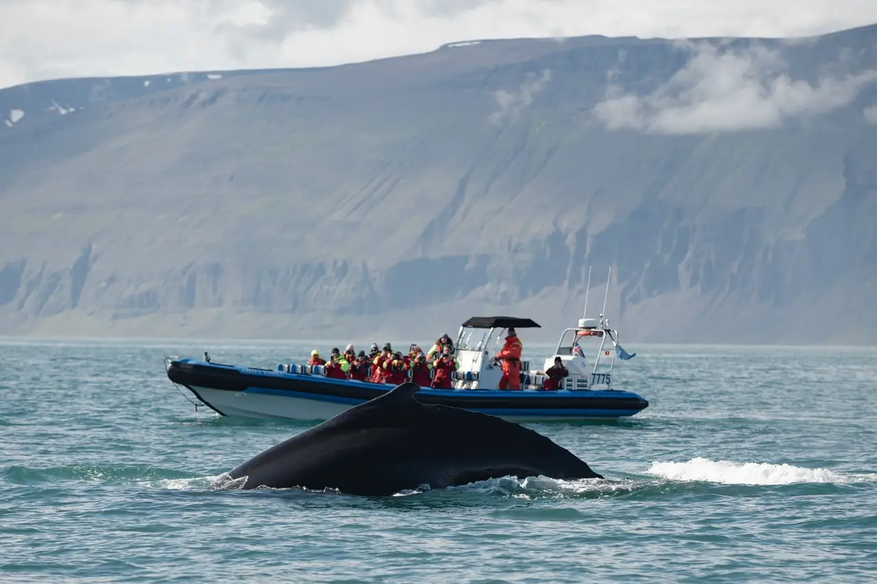 Islandia - Wyprawa na koniec �wiata - wylot z Warszawy