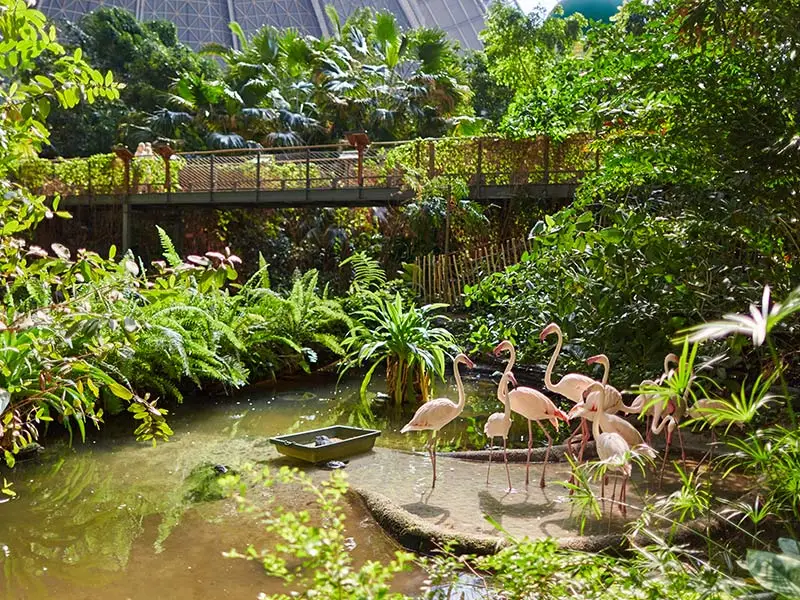 Tropical Island - Berlin