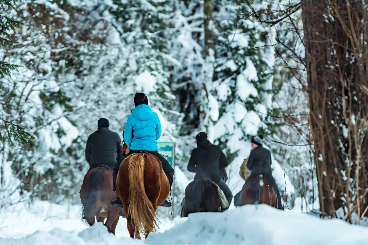 Gruzja - narty na Kaukazie - wylot z Warszawy, Gda�ska, Wroc�awia (skipass w cenie)