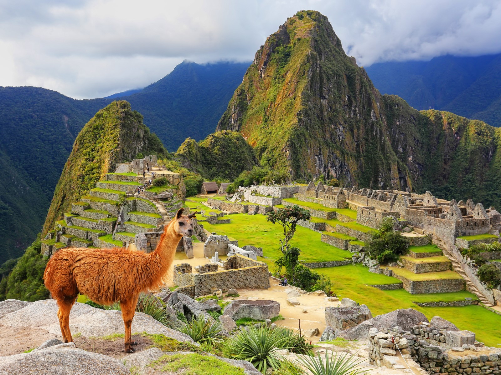 Trzy skarby Inkw 2025