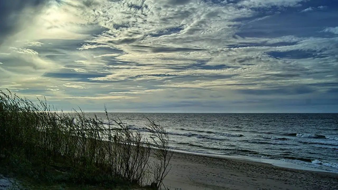 �azy - ob�z Vocal Camp