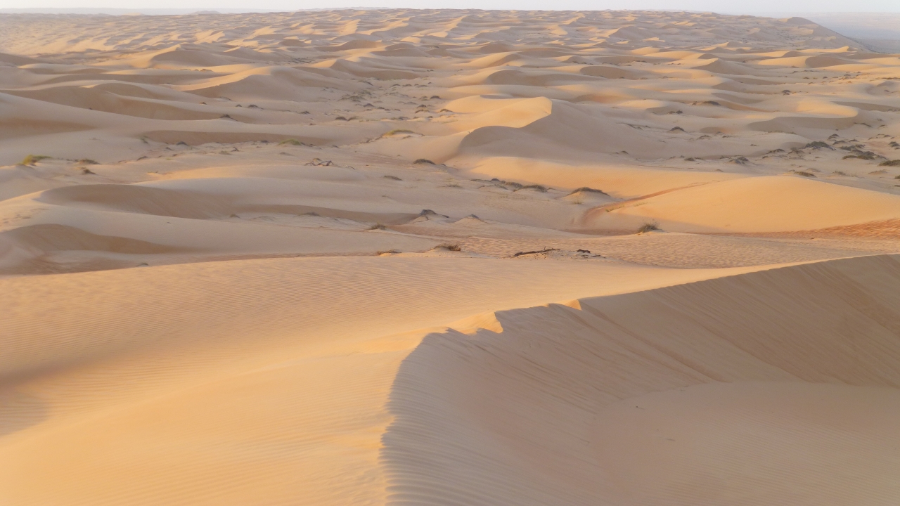 Arabia Saudyjska, Kuwejt, Oman - Trzy oblicza P�wyspu Arabskiego