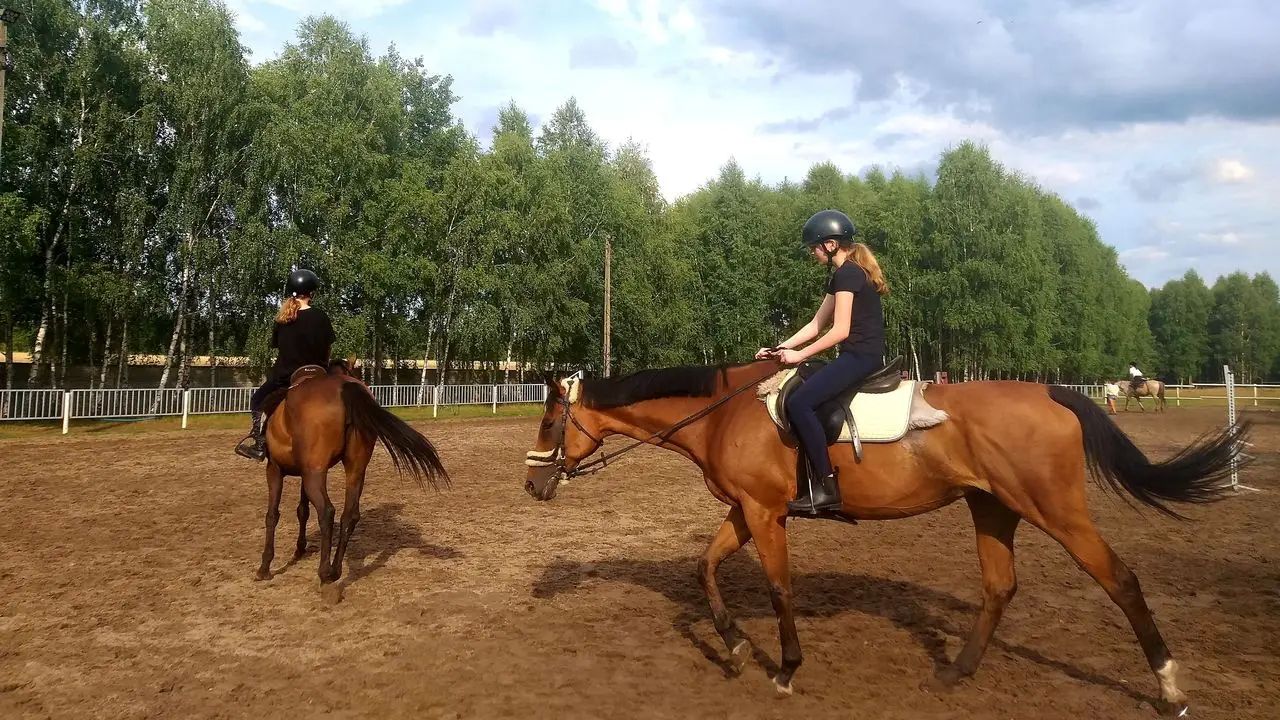 Spa�a - ob�z jazdy konnej