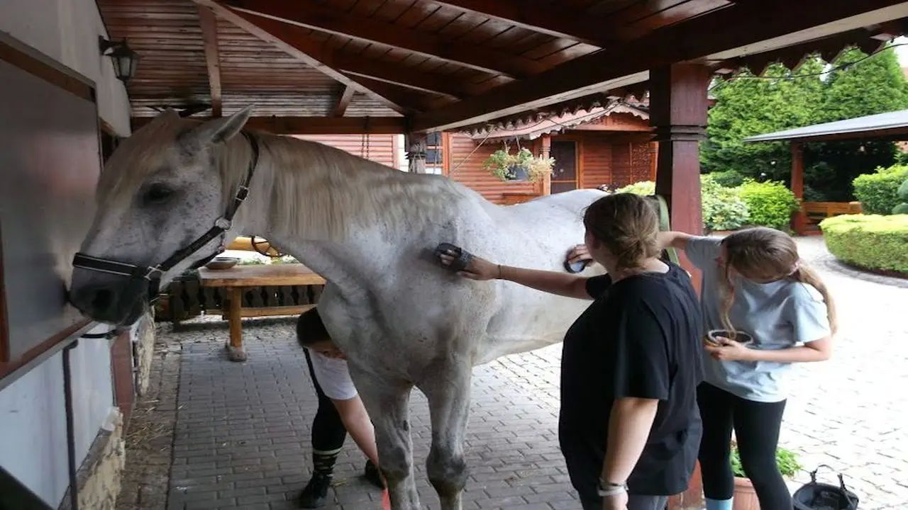 Spa�a - ob�z jazdy konnej