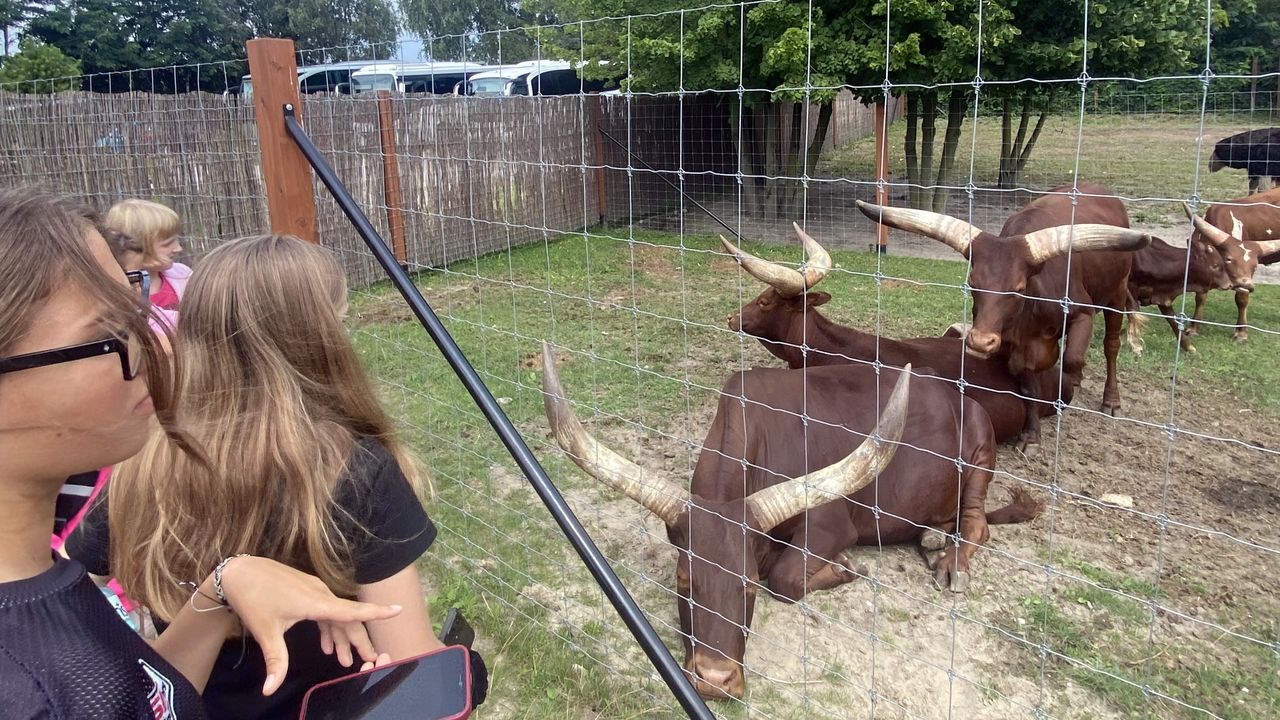 Uniej�w - kolonia w krainie Pana Kleksa