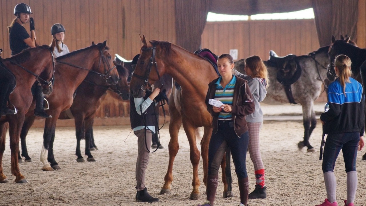 Zbros�awice - ob�z je�dziecki