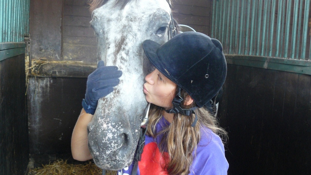 Zbros�awice - ob�z je�dziecki