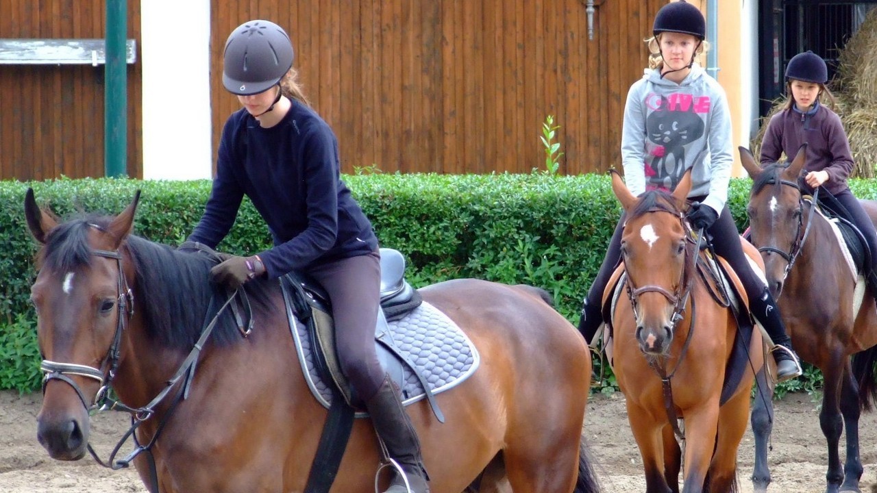 Zbros�awice - ob�z je�dziecki