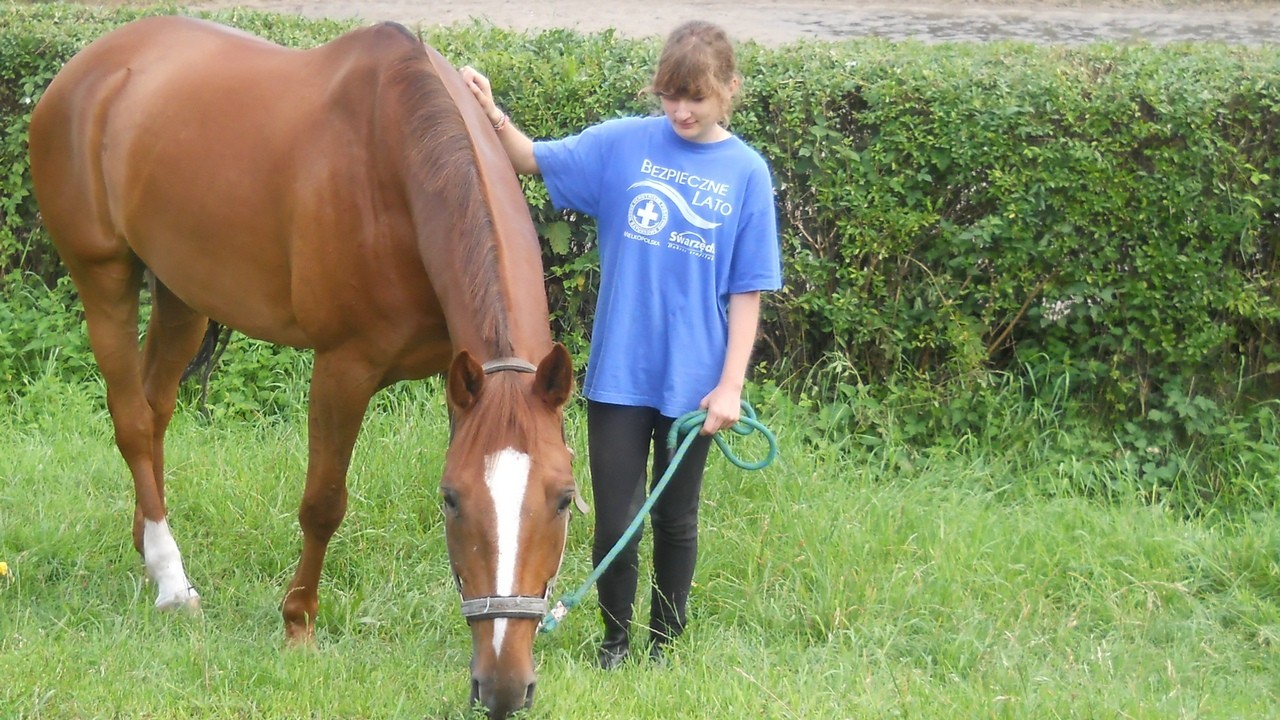 Zbros�awice - ob�z je�dziecki